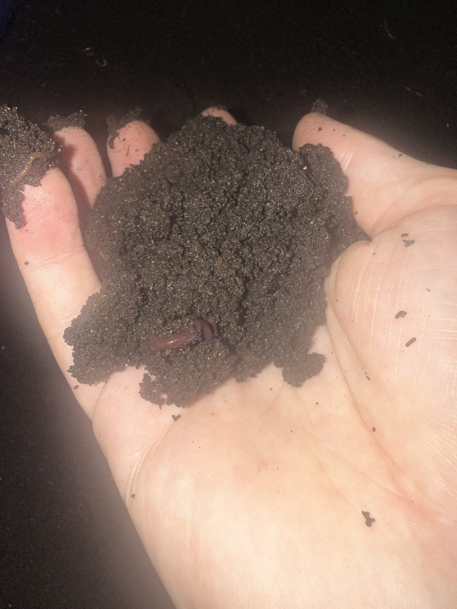 2 Gallons of Castings - Local delivery only!