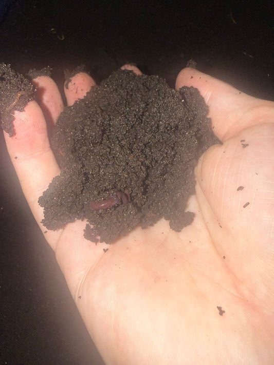 2 Gallons of Castings - Local delivery only!